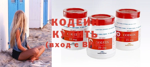 хмурый Вяземский