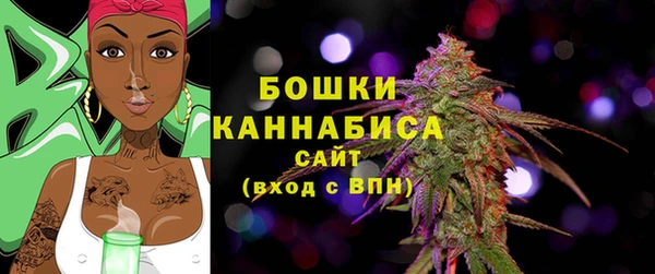 хмурый Вяземский